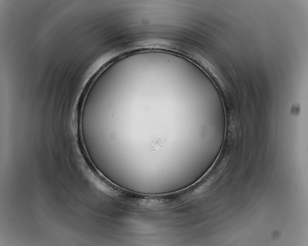 X0000100971082200807151346