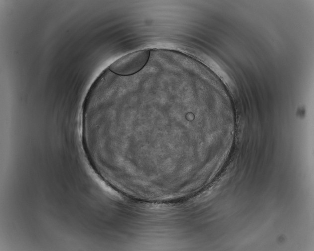 X0000100971084200807151346