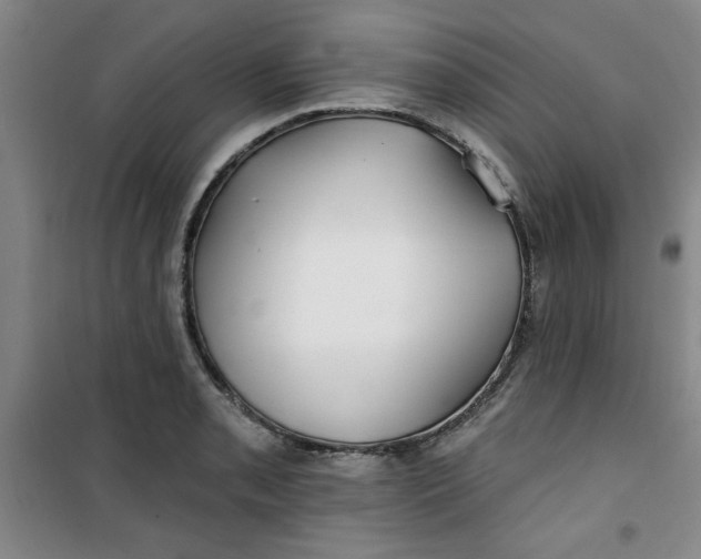 X0000100971085200807151346