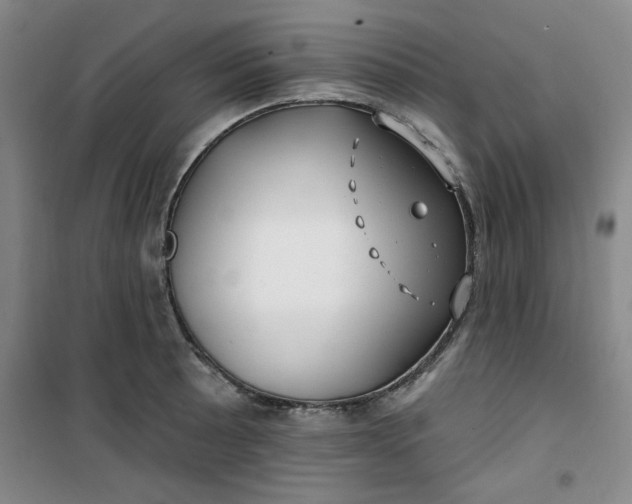 X0000100971089200807151346