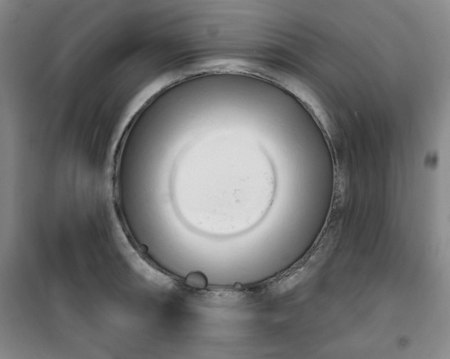 X0000100971090200807151346