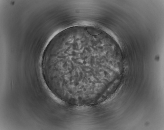 X0000100971091200807151345