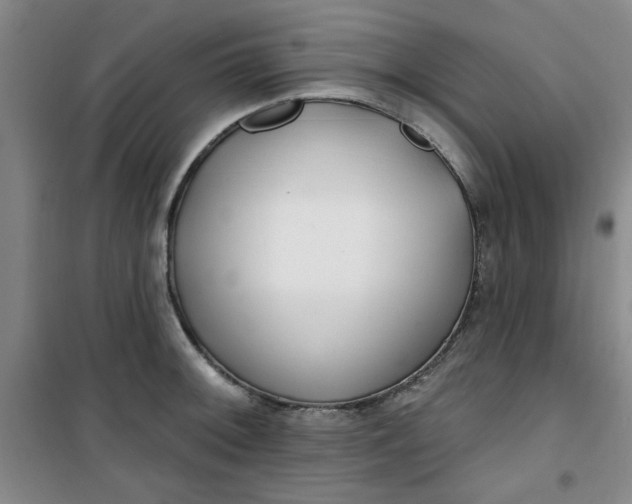 X0000100971092200807151345