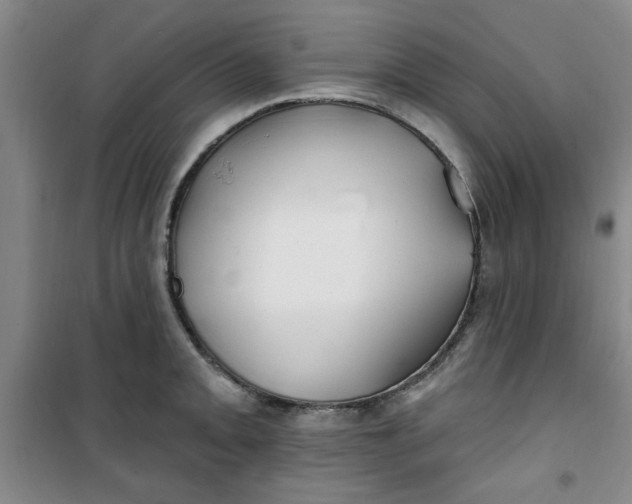 X0000100971093200807151345