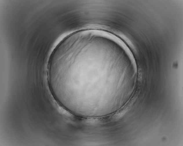 X0000100971094200807151345