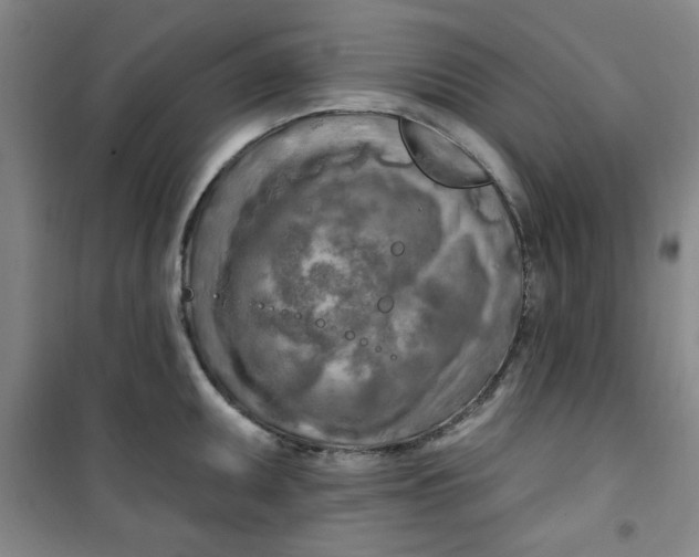 X0000100971095200807151345