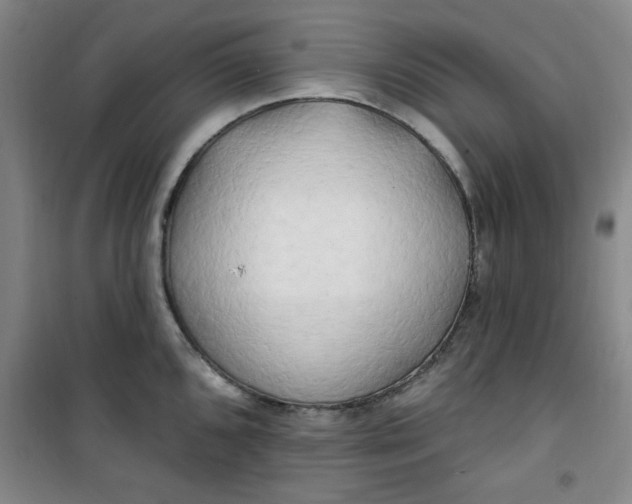 X0000100971096200807151345