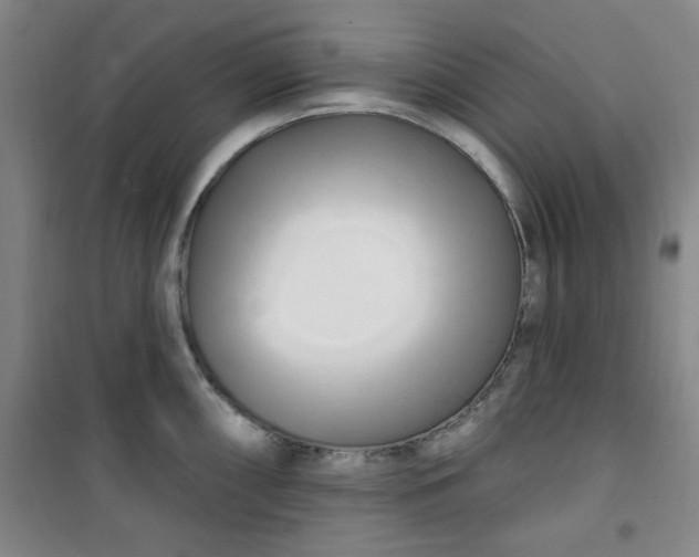 X0000100971098200807151345