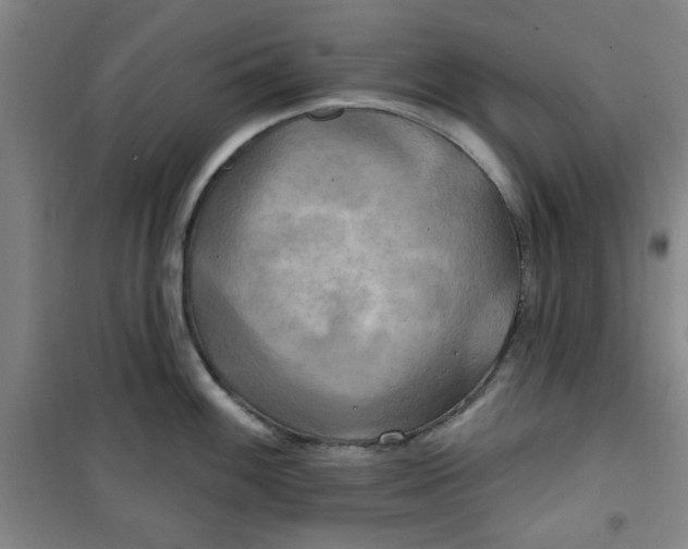 X0000100971100200807151345