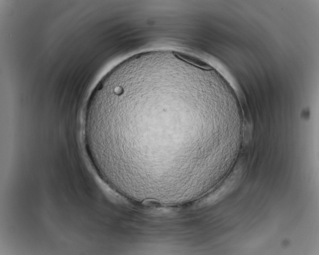 X0000100971101200807151345