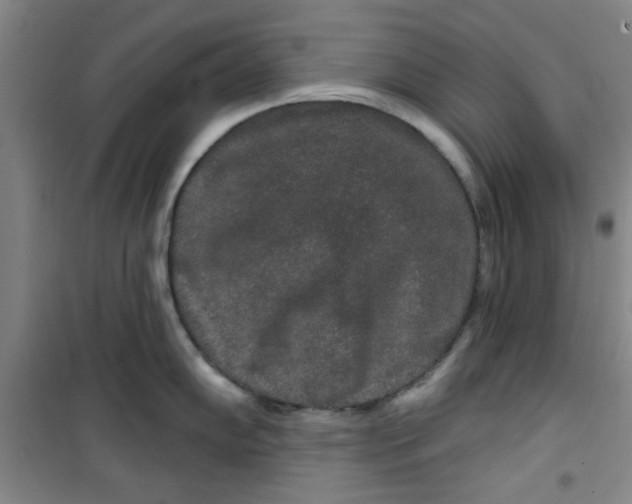X0000100971102200807151345
