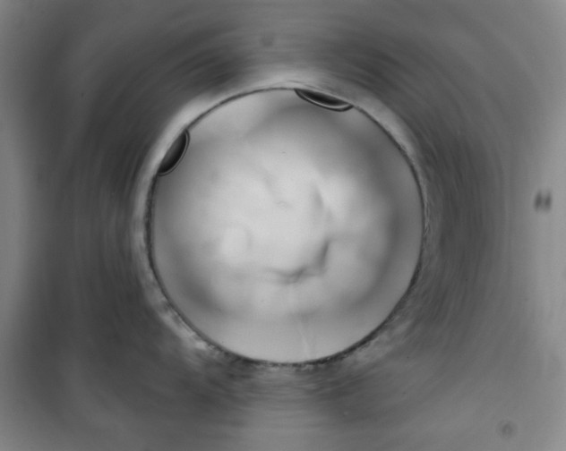 X0000100971104200807151345