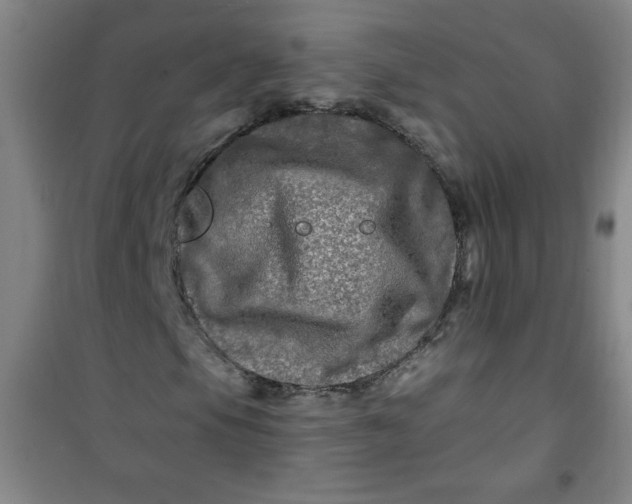 X0000100971105200807151345