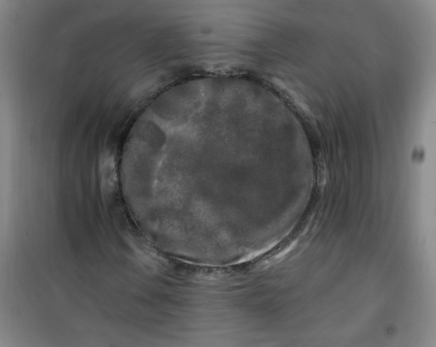 X0000100971106200807151345