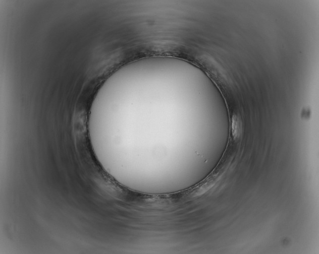 X0000100971107200807151345
