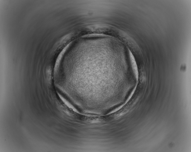 X0000100971108200807151345