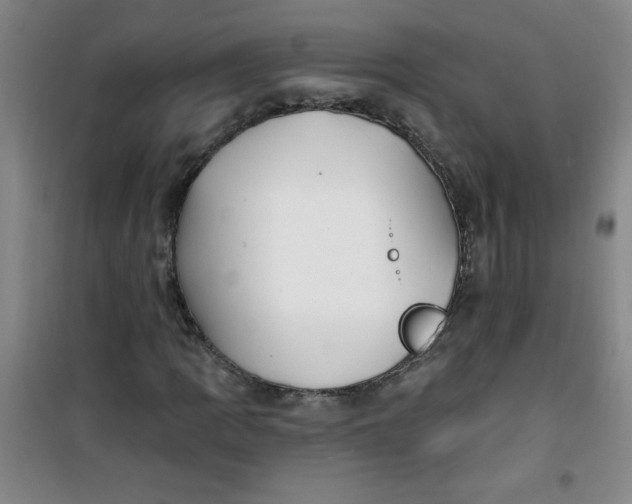 X0000100971109200807151345