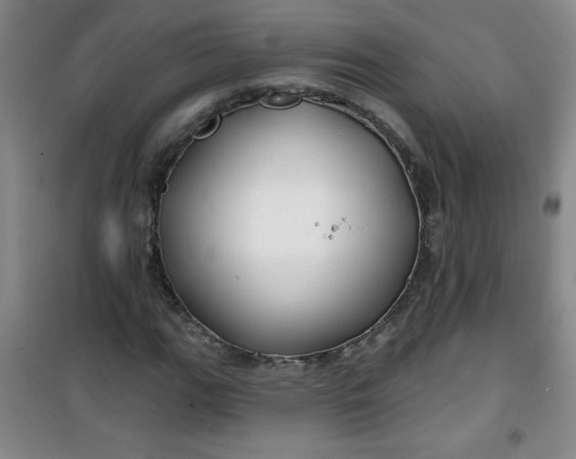 X0000100971111200807151345