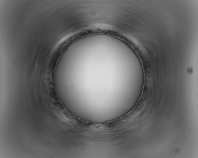 X0000100971112200807151345