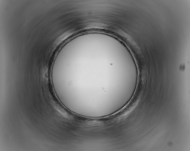X0000100971113200807151345