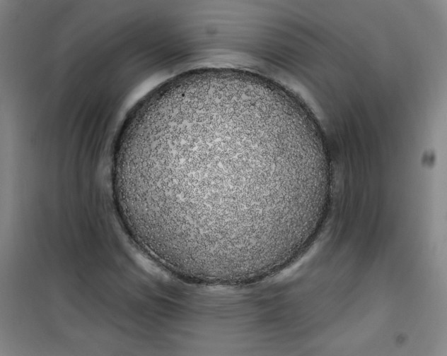 X0000100971114200807151345