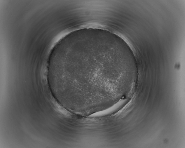X0000100971115200807151345