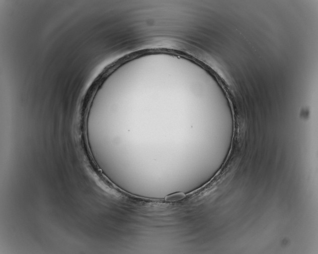 X0000100971116200807151345