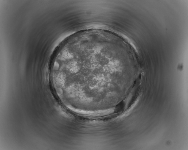 X0000100971117200807151345