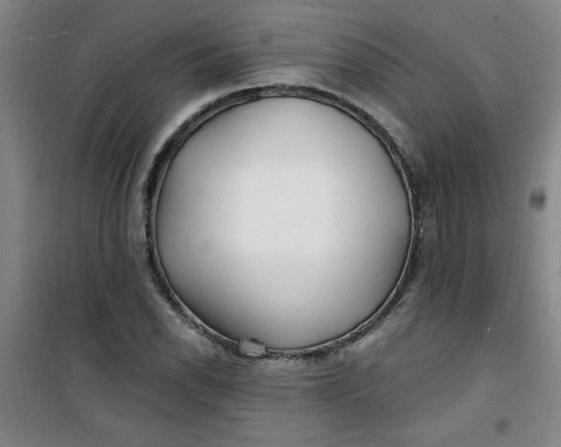 X0000100971118200807151345