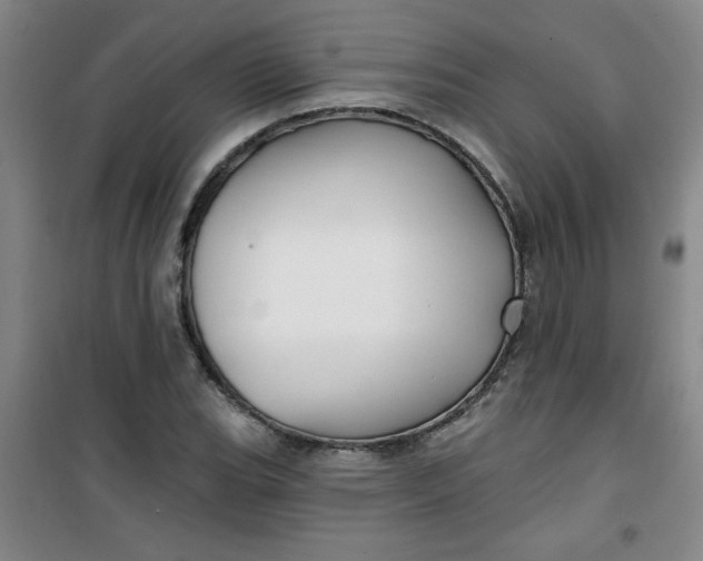 X0000100971119200807151345