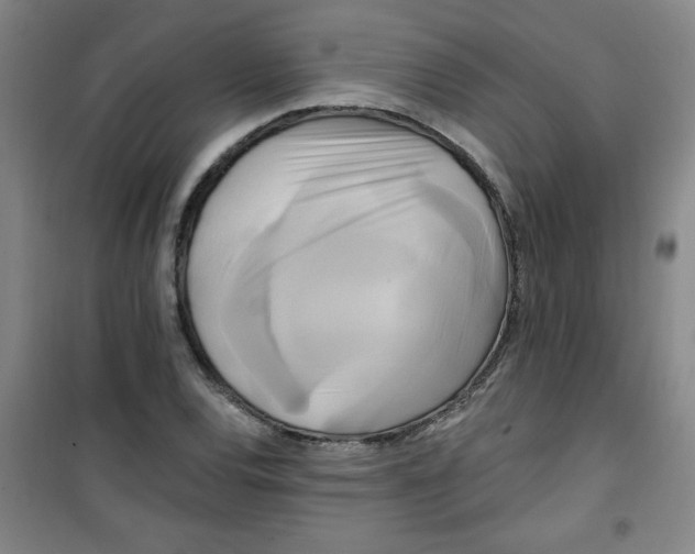 X0000100971120200807151345