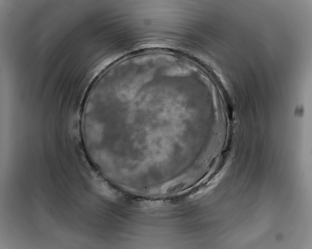 X0000100971121200807151345