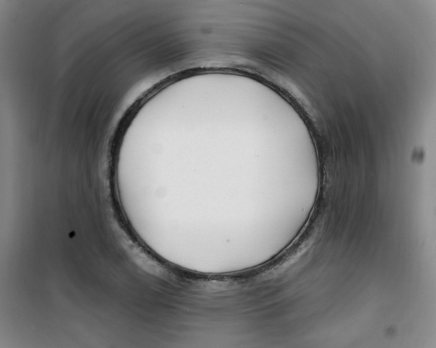 X0000100971122200807151345