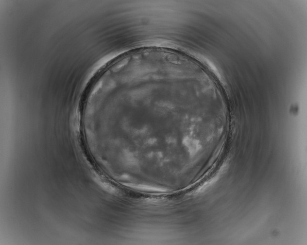 X0000100971125200807151345