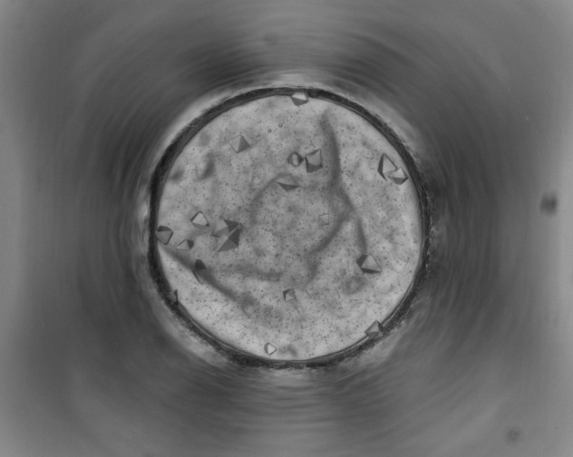 X0000100971126200807151345