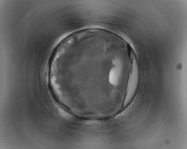 X0000100971127200807151345