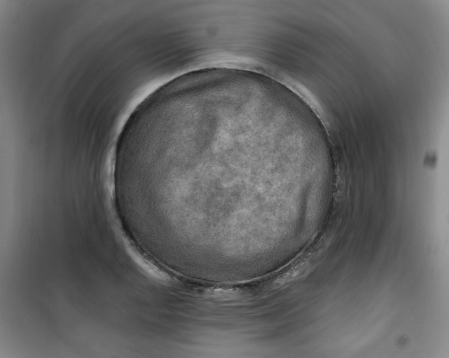 X0000100971128200807151345