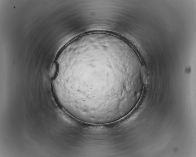 X0000100971129200807151345