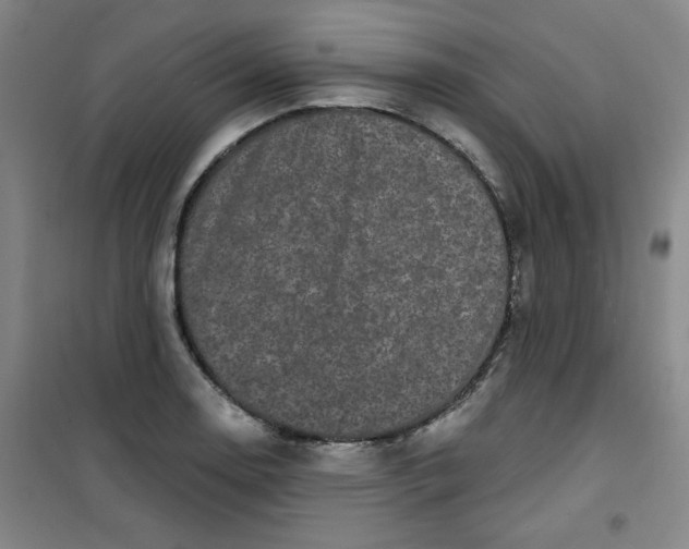 X0000100971130200807151345
