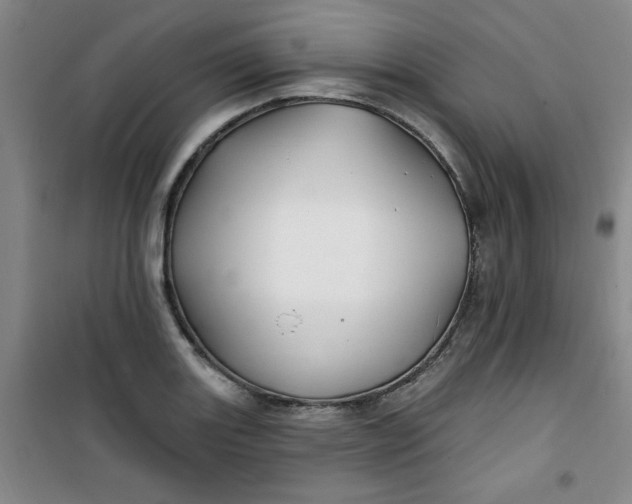 X0000100971131200807151345