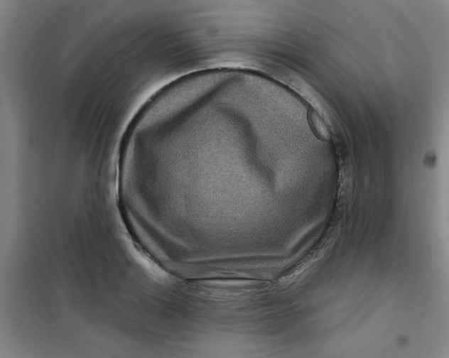 X0000100971132200807151345