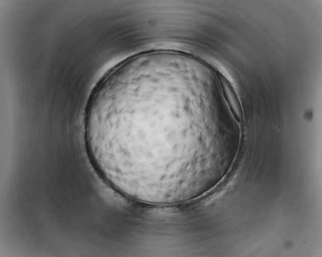 X0000100971133200807151345