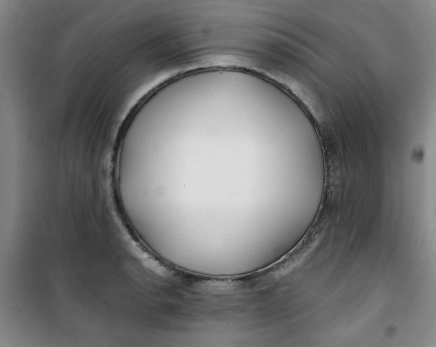 X0000100971134200807151345