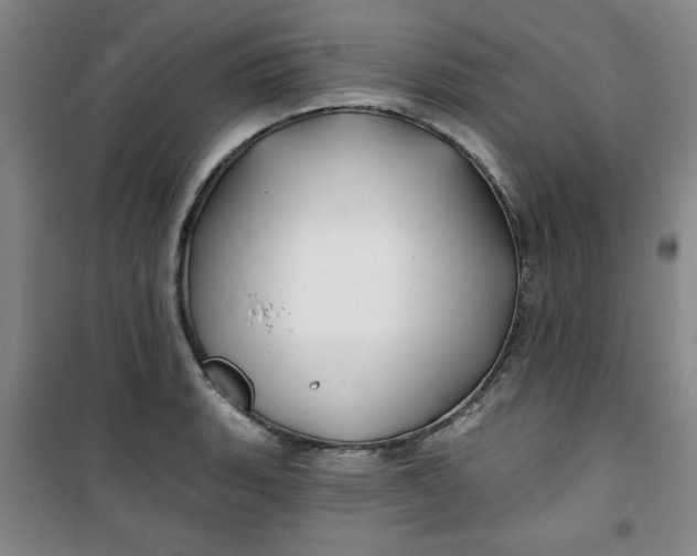 X0000100971135200807151345