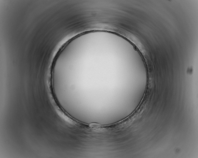 X0000100971136200807151345