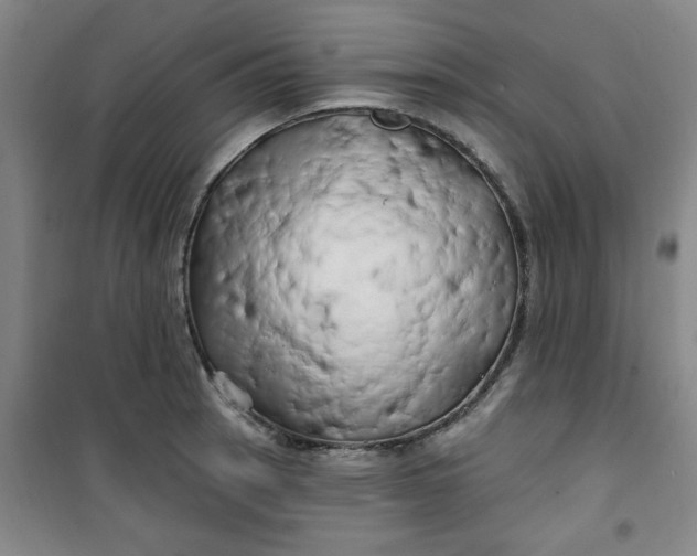 X0000100971137200807151345