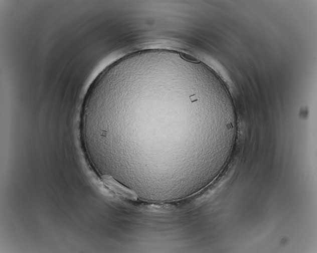 X0000100971138200807151345