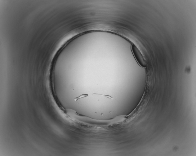 X0000100971139200807151345