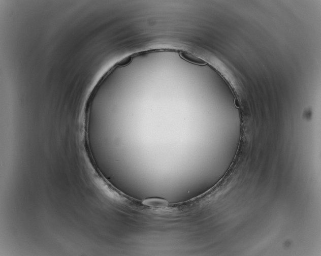 X0000100971140200807151345