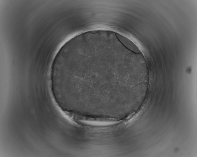 X0000100971142200807151345